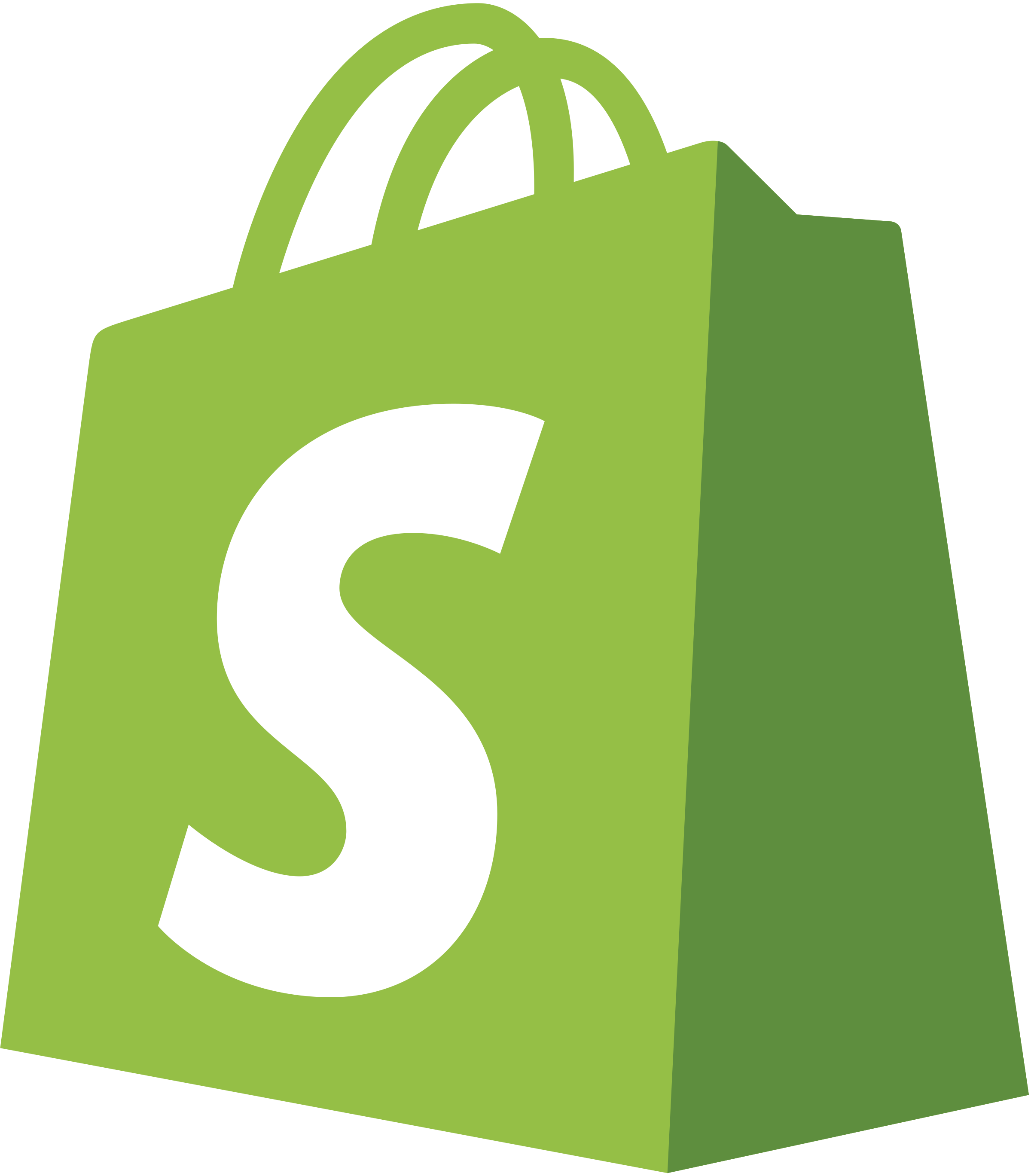 Shopify and Web Designing and Development